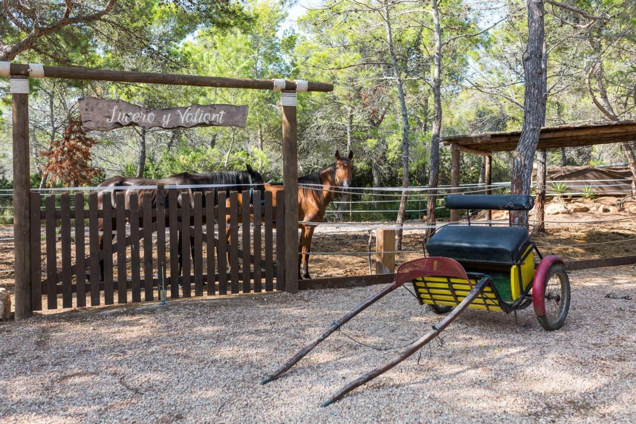 Hostal Cala Boix Es Cana Εξωτερικό φωτογραφία