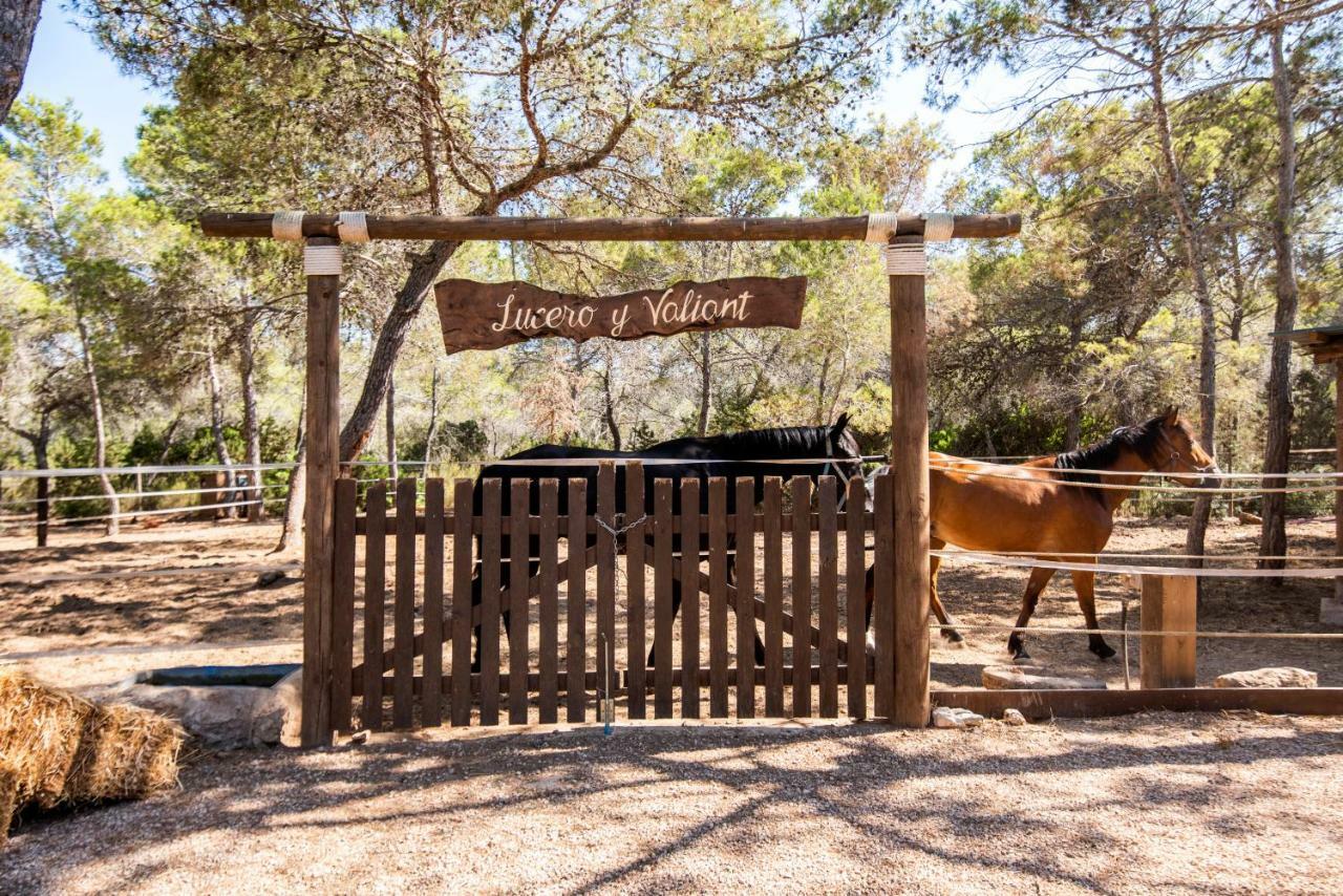Hostal Cala Boix Es Cana Εξωτερικό φωτογραφία